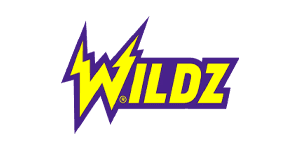 casino logo